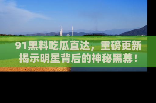 91黑料吃瓜直达，重磅更新揭示明星背后的神秘黑幕！