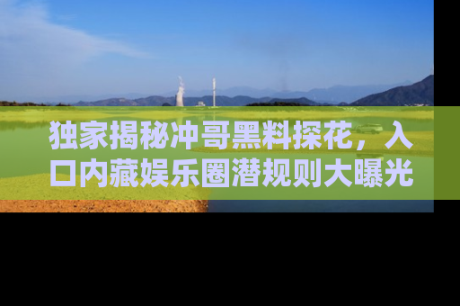 独家揭秘冲哥黑料探花，入口内藏娱乐圈潜规则大曝光