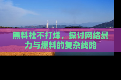 黑料社不打烊，探讨网络暴力与爆料的复杂线路