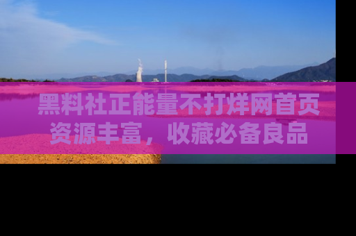黑料社正能量不打烊网首页资源丰富，收藏必备良品