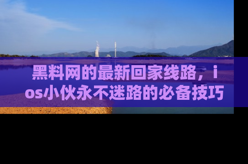 黑料网的最新回家线路，ios小伙永不迷路的必备技巧！