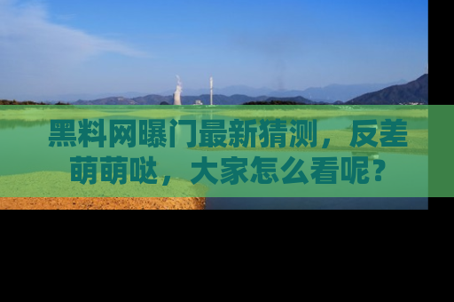 黑料网曝门最新猜测，反差萌萌哒，大家怎么看呢？