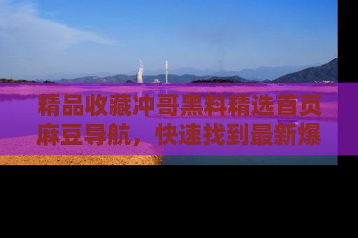 精品收藏冲哥黑料精选首页麻豆导航，快速找到最新爆料