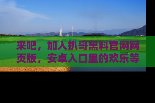 来吧，加入扒哥黑料官网网页版，安卓入口里的欢乐等着你！