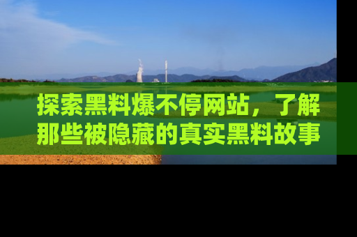 探索黑料爆不停网站，了解那些被隐藏的真实黑料故事