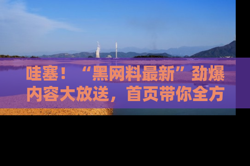 哇塞！“黑网料最新”劲爆内容大放送，首页带你全方位了解哦，小可爱们