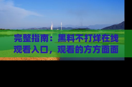 完整指南：黑料不打烊在线观看入口，观看的方方面面与app选择