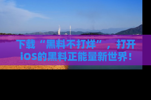 下载“黑料不打烊”，打开iOS的黑料正能量新世界！