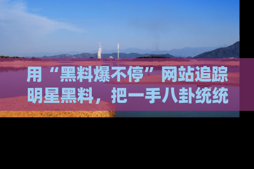用“黑料爆不停”网站追踪明星黑料,把一手八卦统统收进你的后宫中!
