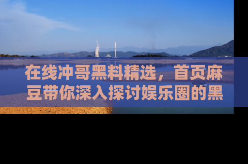 在线冲哥黑料精选,首页麻豆带你深入探讨娱乐圈的黑暗面