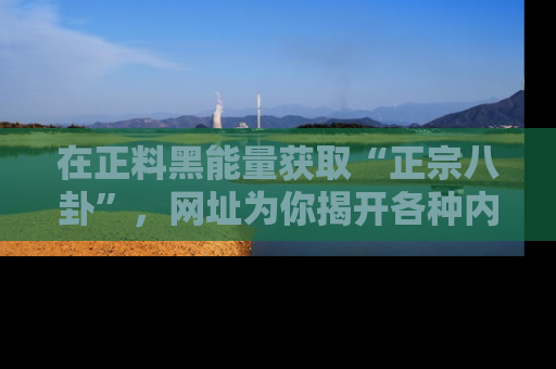 在正料黑能量获取“正宗八卦”,网址为你揭开各种内幕故事!