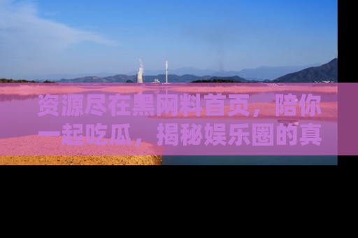 资源尽在黑网料首页,陪你一起吃瓜,揭秘娱乐圈的真实内幕