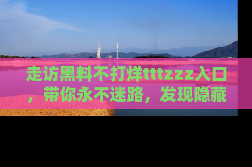 走访黑料不打烊tttzzz入口,带你永不迷路,发现隐藏的黑幕